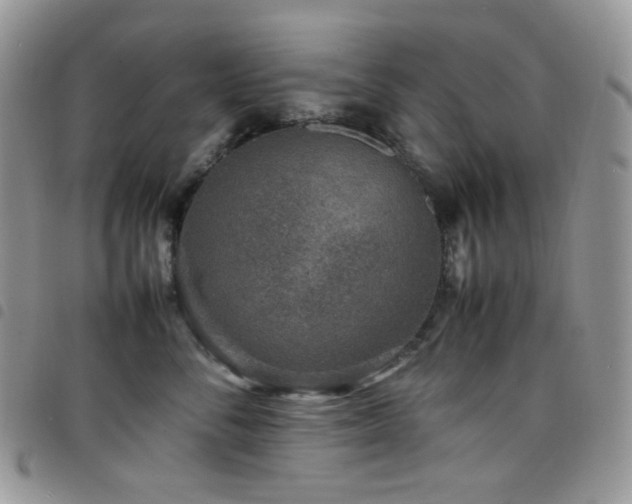 X0000098220716200804241344