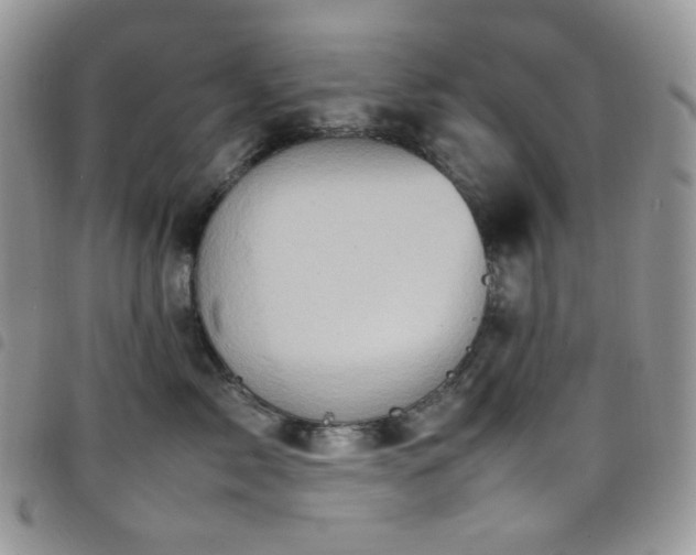X0000098220717200804241344