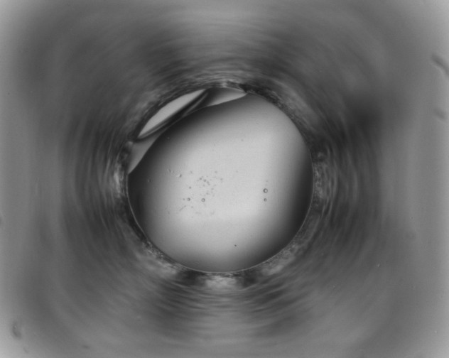 X0000098220718200804241344