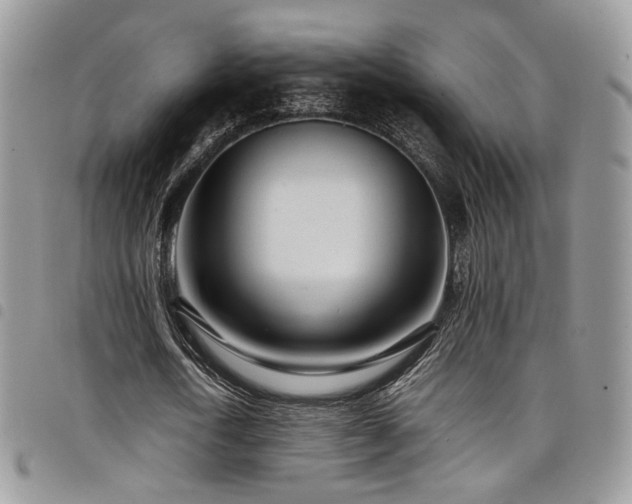 X0000098220722200804241343