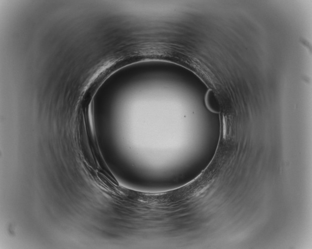 X0000098220723200804241343