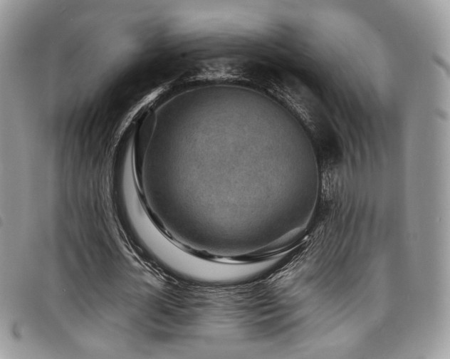 X0000098220724200804241343