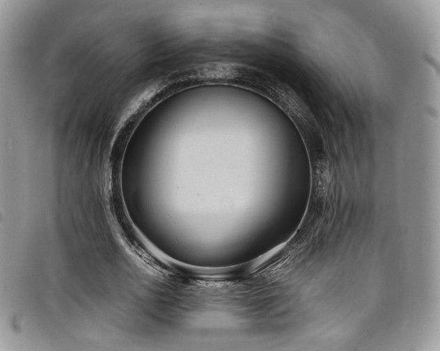 X0000098220726200804241343