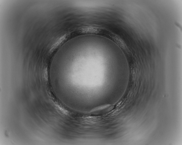 X0000098220729200804241343