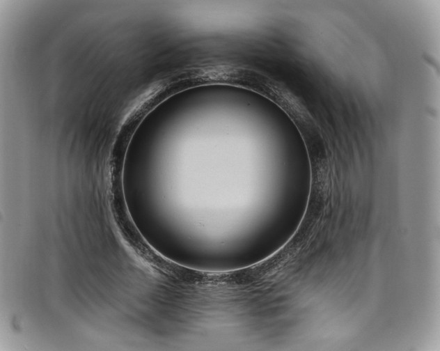 X0000098220730200804241343