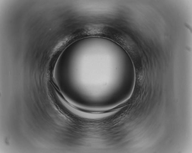 X0000098220732200804241343