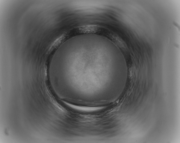 X0000098220733200804241343
