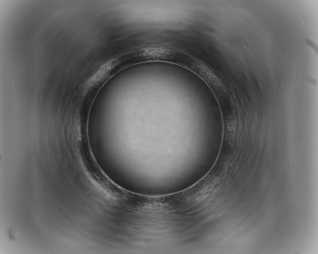 X0000098220734200804241343