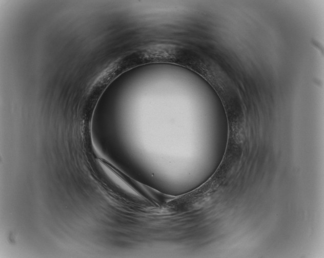 X0000098220735200804241343