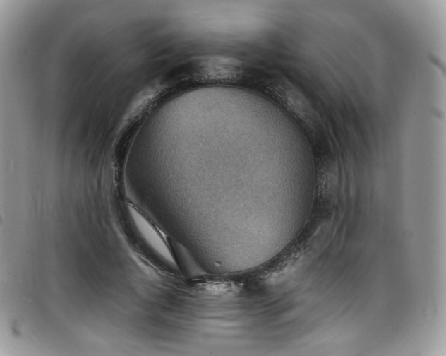 X0000098220736200804241343