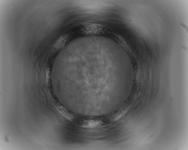 X0000098220737200804241343