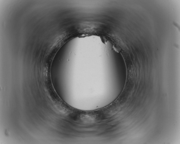 X0000098220739200804241343