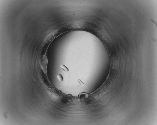 X0000098220740200804241343