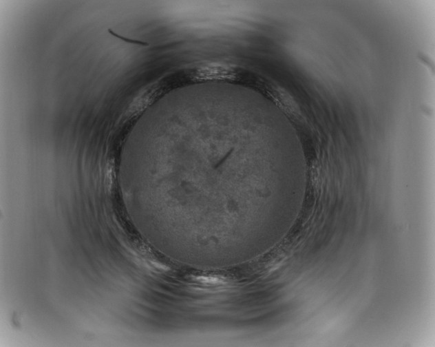 X0000098220741200804241343