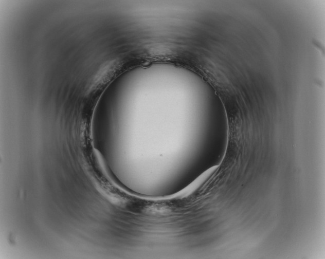 X0000098220742200804241343