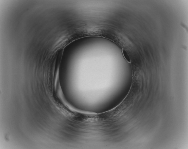 X0000098220744200804241343