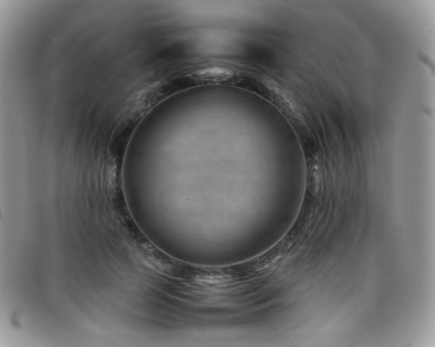 X0000098220745200804241343
