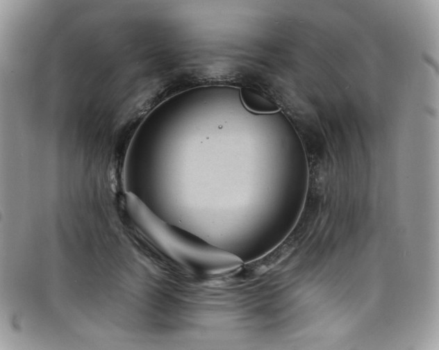 X0000098220746200804241343