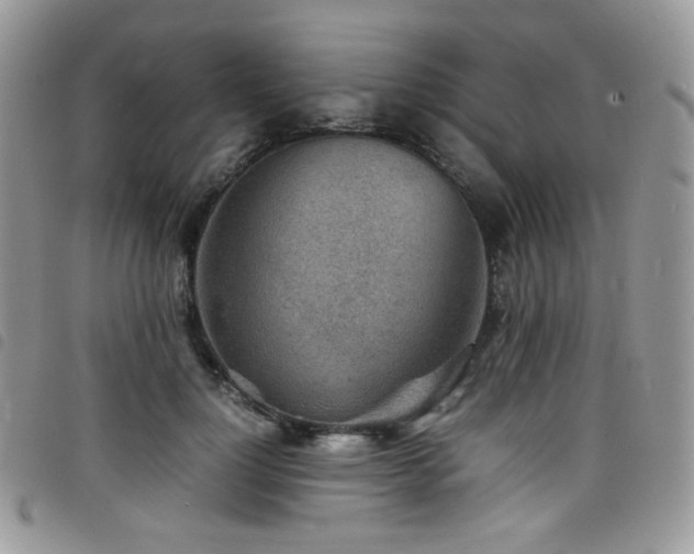 X0000098220748200804241343
