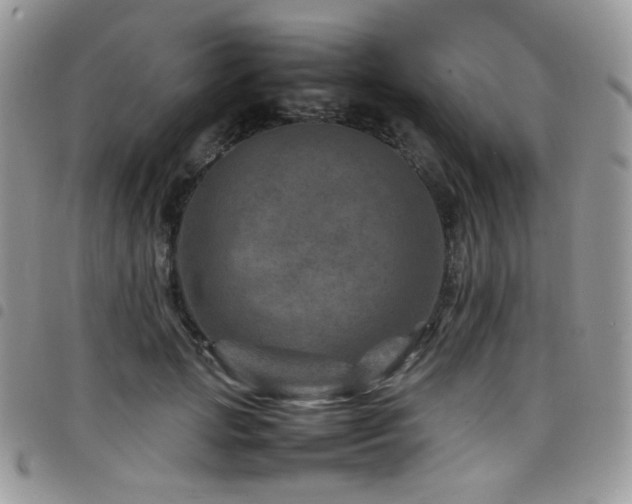 X0000098220749200804241343