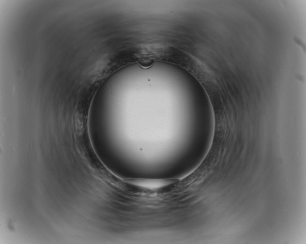 X0000098220751200804241343