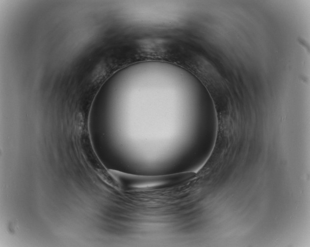 X0000098220752200804241343