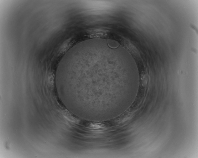 X0000098220753200804241343