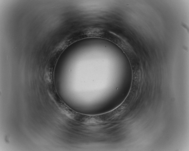 X0000098220755200804241343