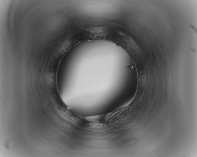 X0000098220756200804241344