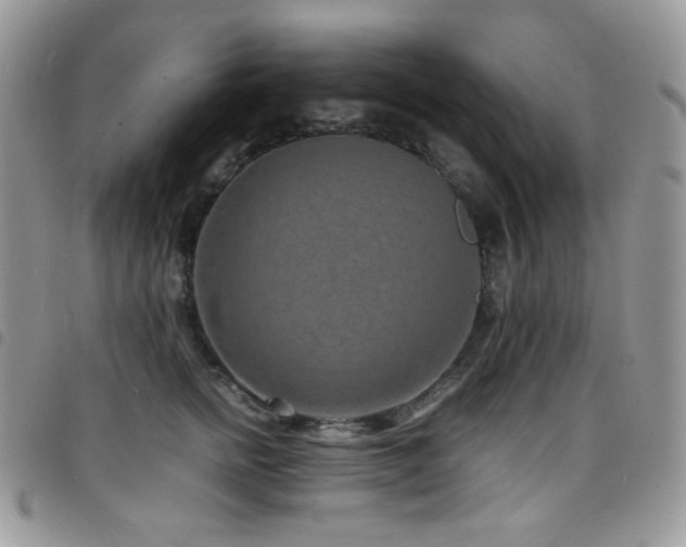 X0000098220758200804241344