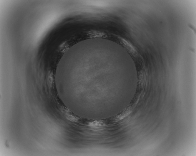 X0000098220761200804241344