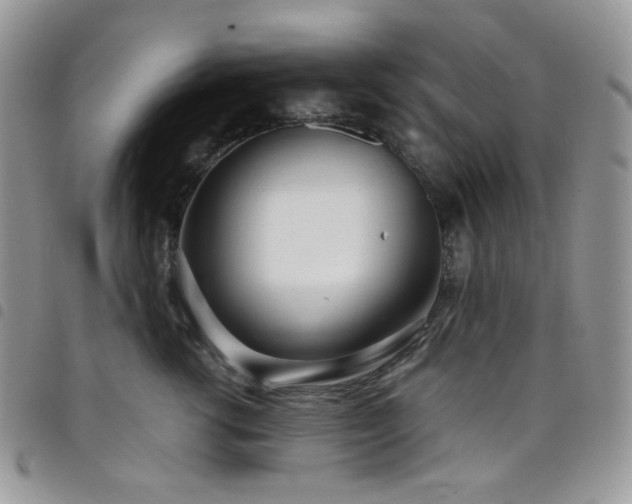 X0000098220762200804241344