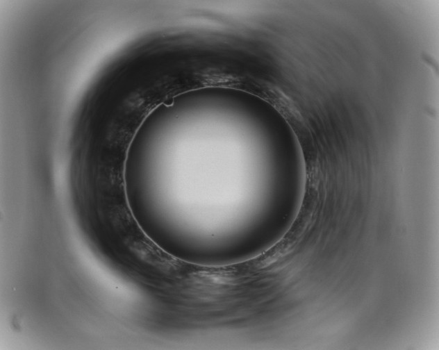 X0000098220763200804241344