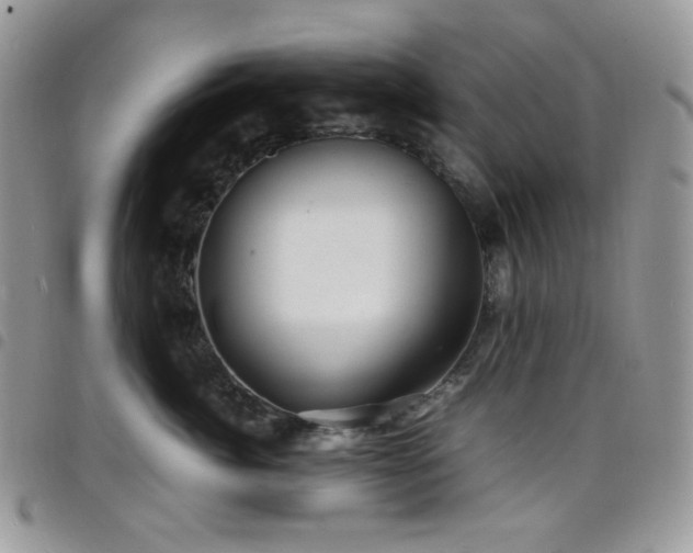 X0000098220764200804241344