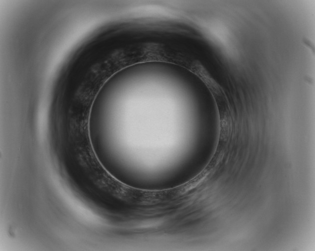 X0000098220765200804241344