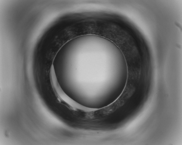X0000098220766200804241344