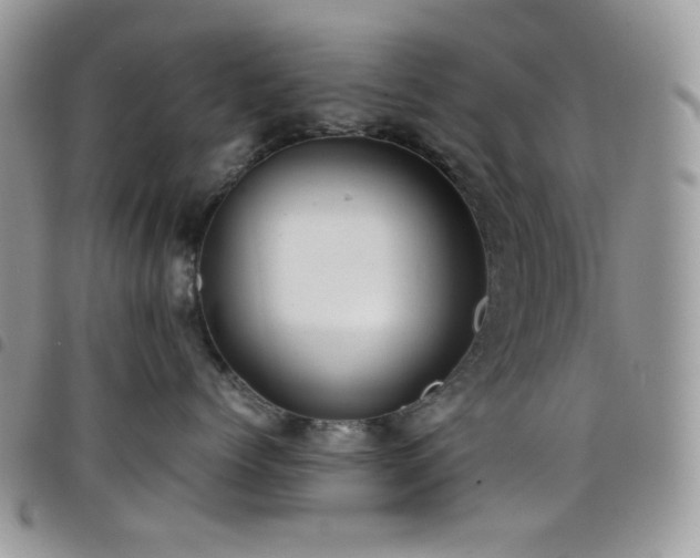 X0000098220768200804241344