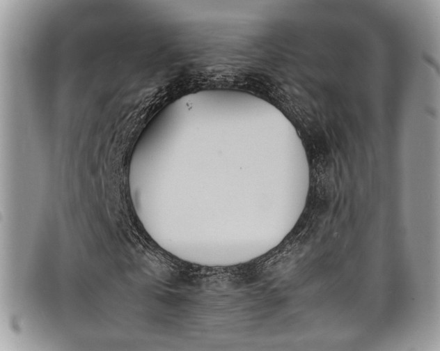 X0000098220769200804241343