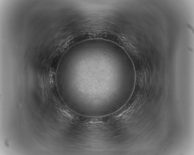 X0000098220770200804241343