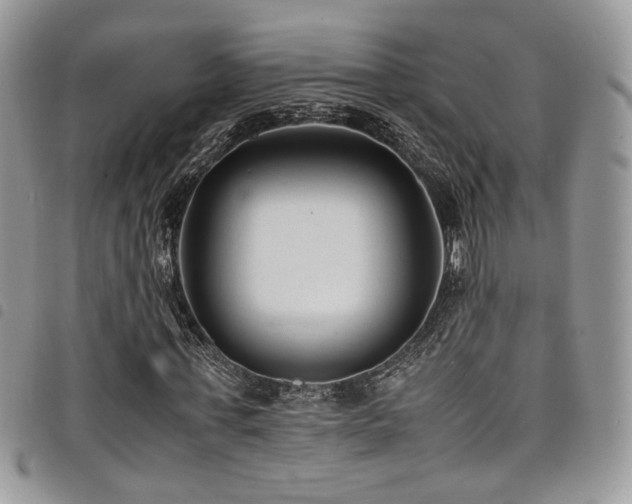 X0000098220771200804241343