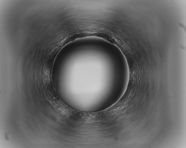 X0000098220772200804241343
