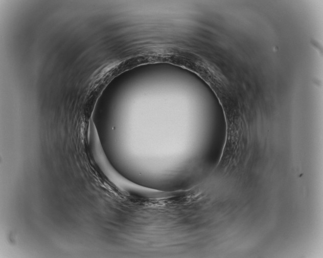 X0000098220773200804241343