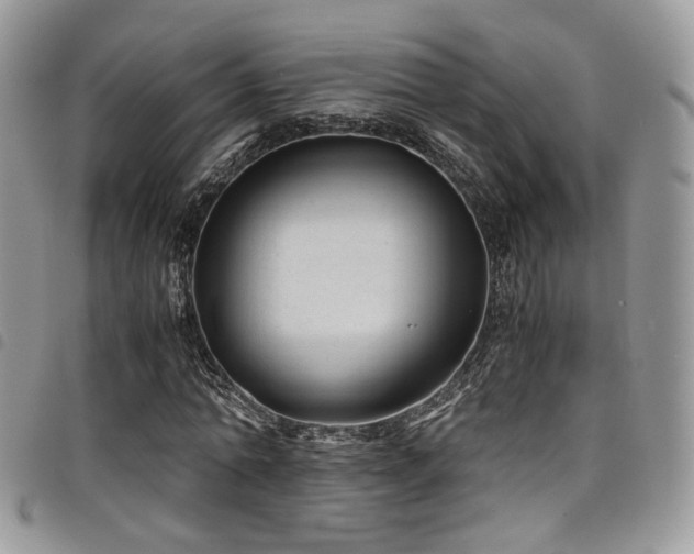 X0000098220774200804241343