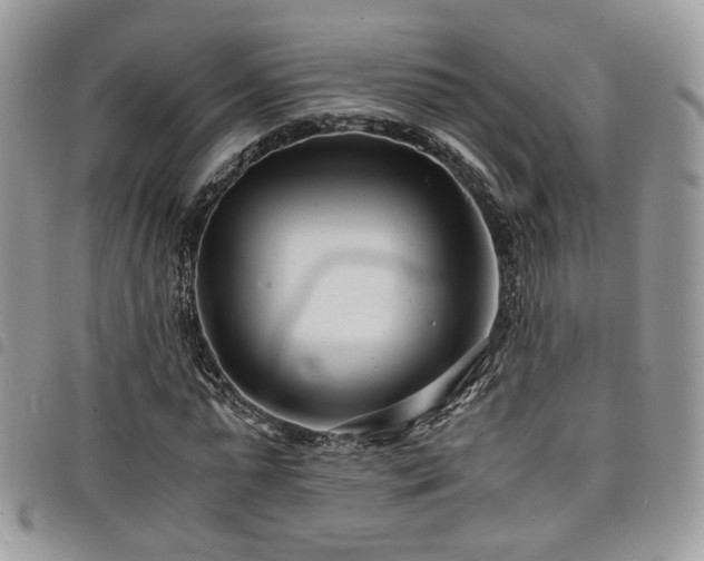 X0000098220775200804241343