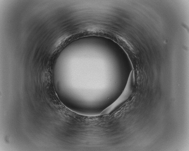 X0000098220776200804241343