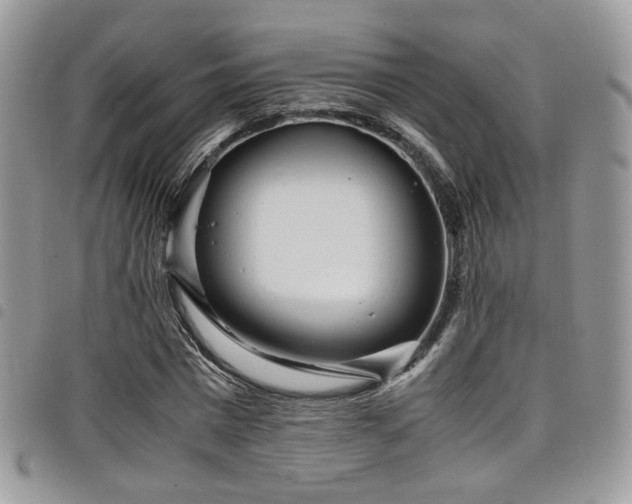 X0000098220777200804241343