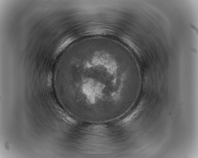 X0000098220778200804241343