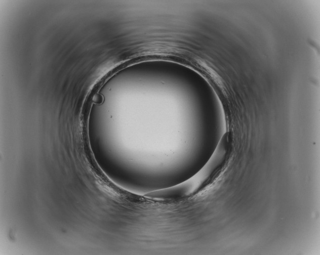 X0000098220779200804241343