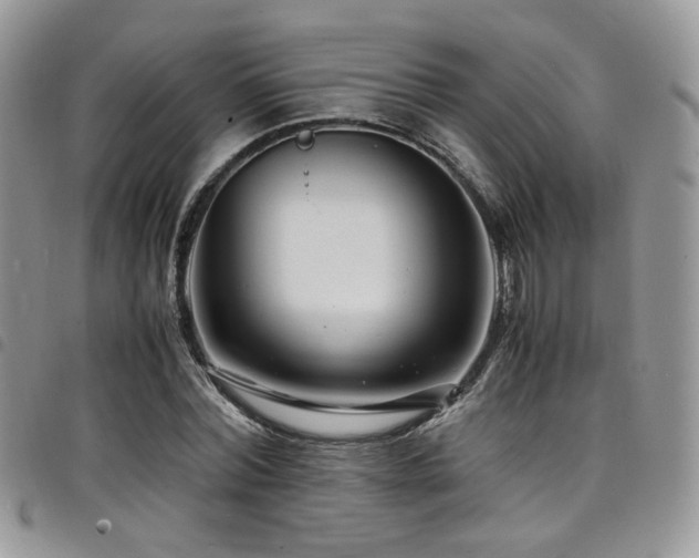 X0000098220780200804241343