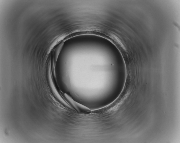 X0000098220781200804241343